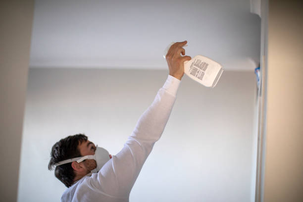 Best Best Mold Removal Companies  in Fort Ashby, WV