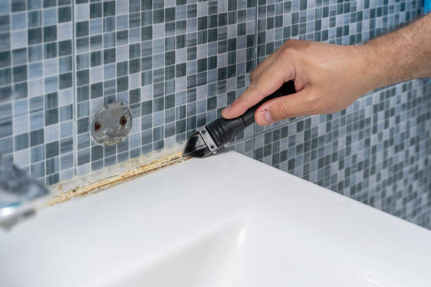 Best Mold Testing  in Fort Ashby, WV
